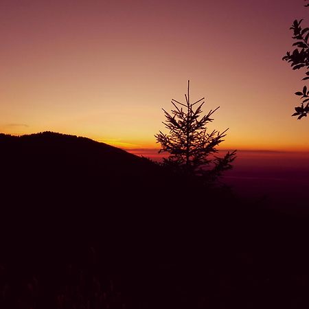فندق Glamping Zazen Drumu Carului المظهر الخارجي الصورة