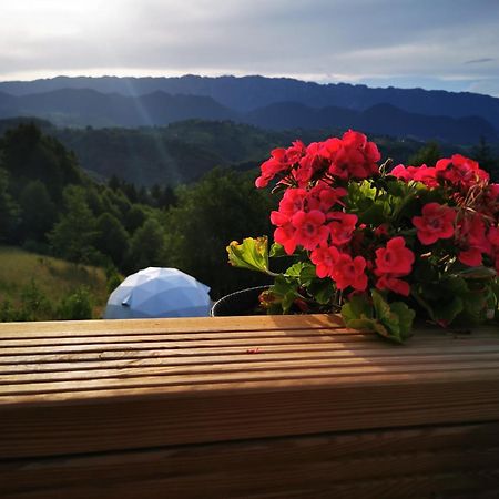 فندق Glamping Zazen Drumu Carului المظهر الخارجي الصورة