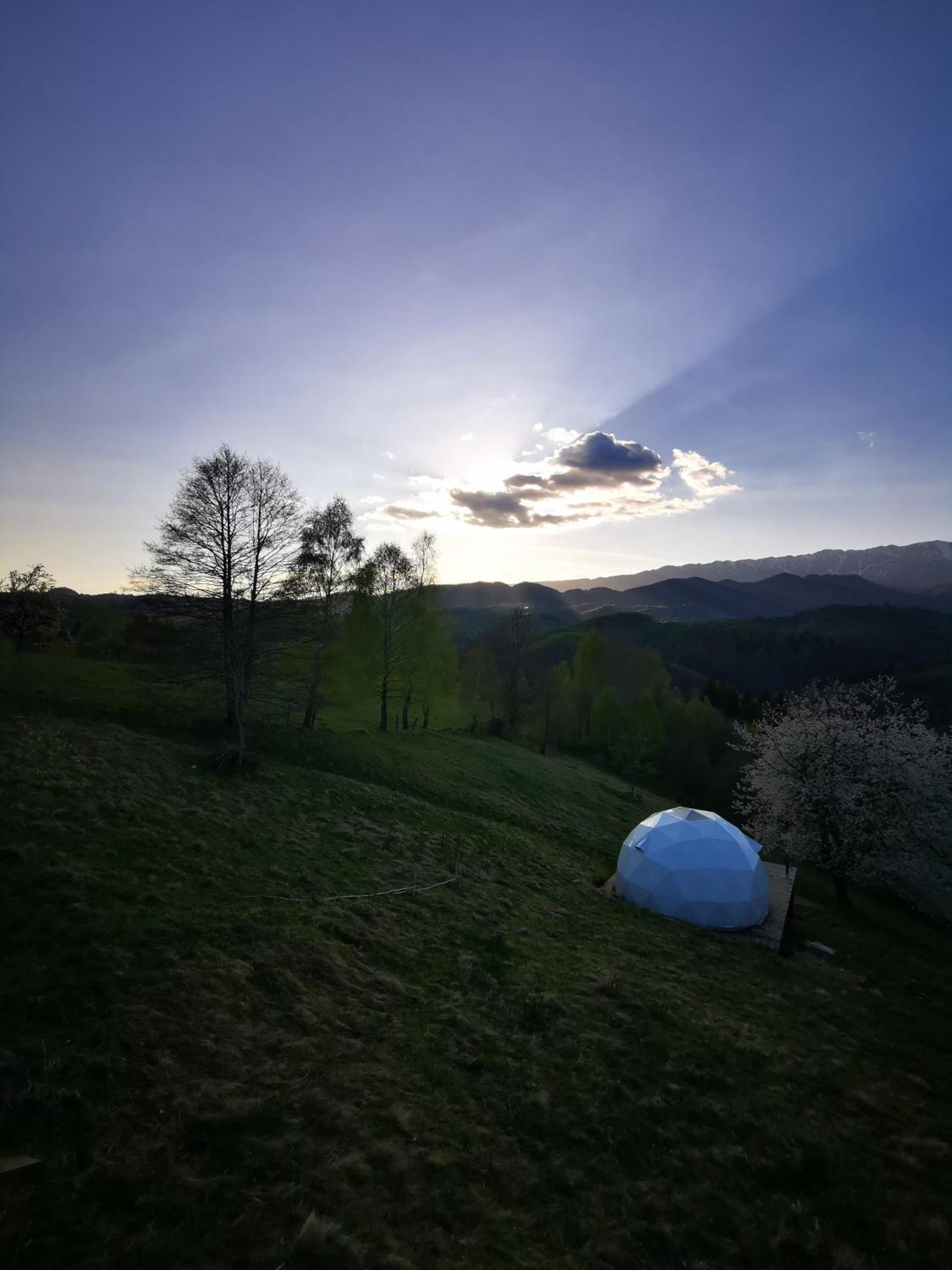 فندق Glamping Zazen Drumu Carului المظهر الخارجي الصورة